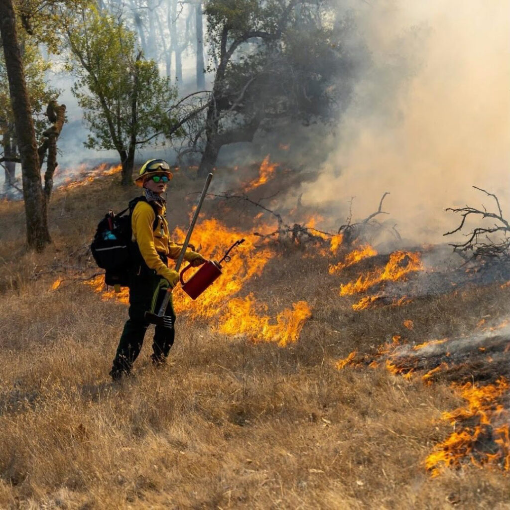 Monan's Rill member Thea Carlson participates in a prescribed burn at Pepperwood Preserve (Photo credit: Ian Nelson)